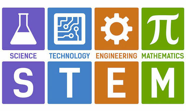 img_Stem